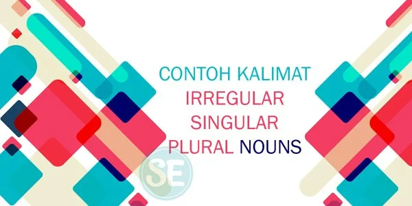  Contoh Kalimat Irregular Singular dan Plural Nouns